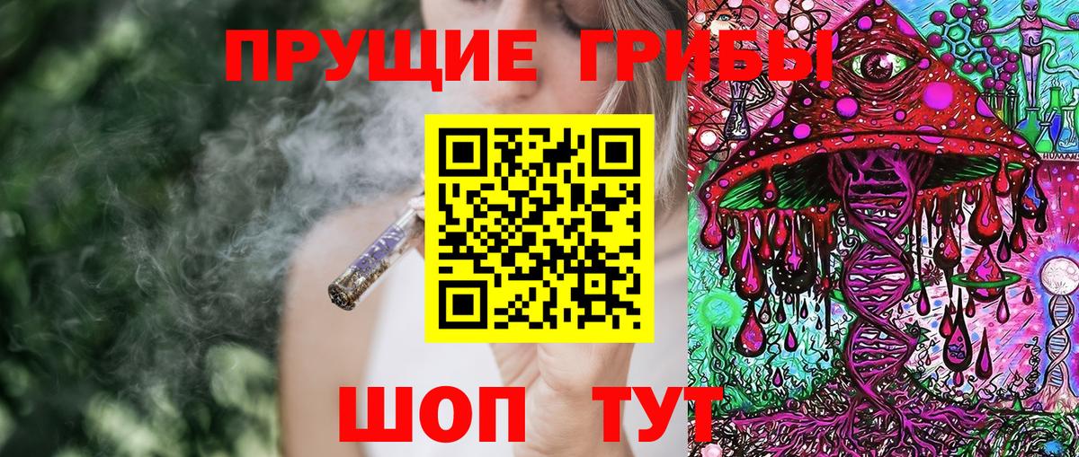 Псилоцибиновые грибы Psilocybe  Вход с VPN  Псилоцибиновые грибы ЛСД  где продают   Изобильный 